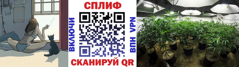 где купить наркотик  Алатырь  МАРИХУАНА Amnesia 